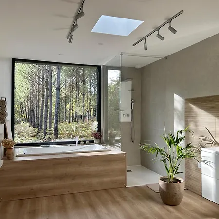 Au Coeur De La Foret *